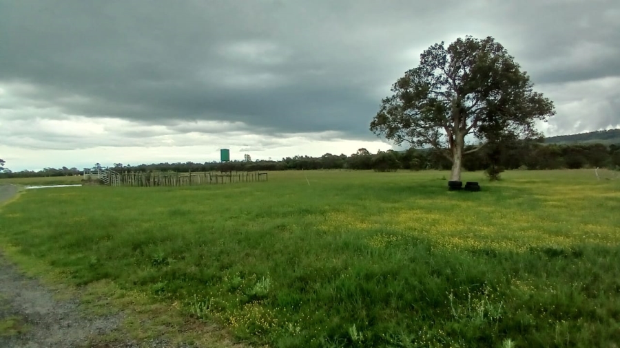 Commercial Property for Sale in Bathurst Rural Eastern Cape